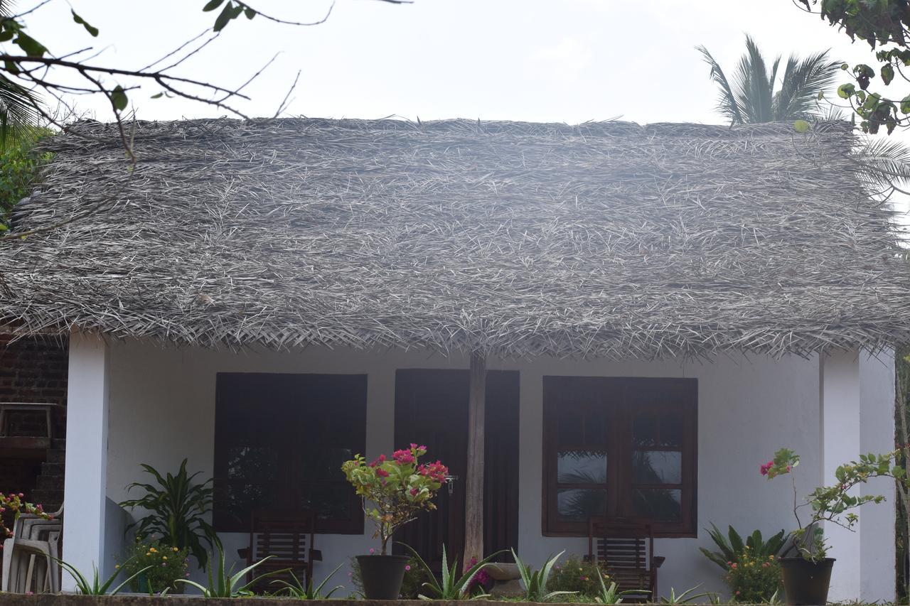 Emma'S Sea View Apartment Dikwella Ngoại thất bức ảnh